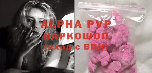 PSILOCYBIN Вяземский