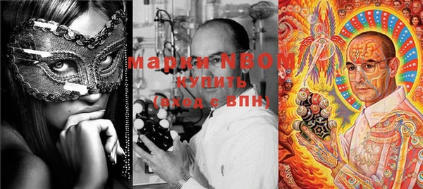 PSILOCYBIN Вяземский
