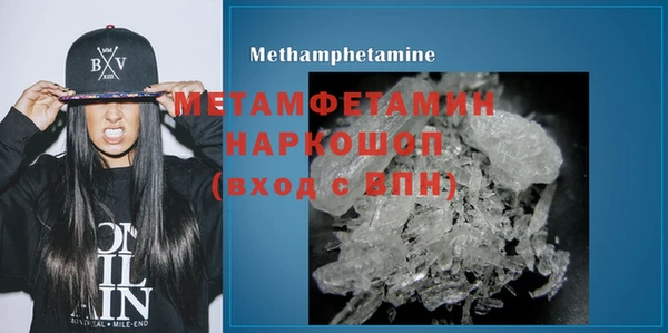 PSILOCYBIN Вяземский
