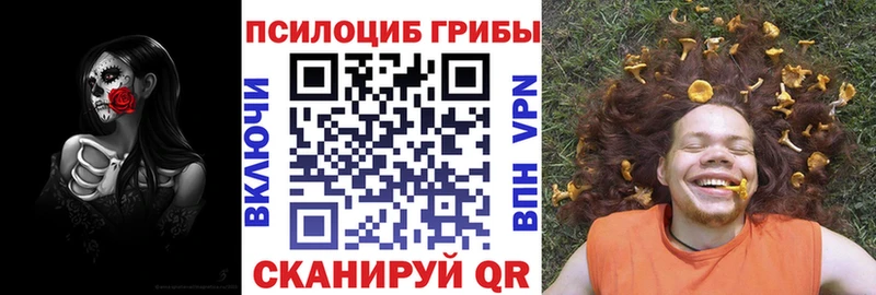 Псилоцибиновые грибы прущие грибы  кракен tor  Луга  сколько стоит 